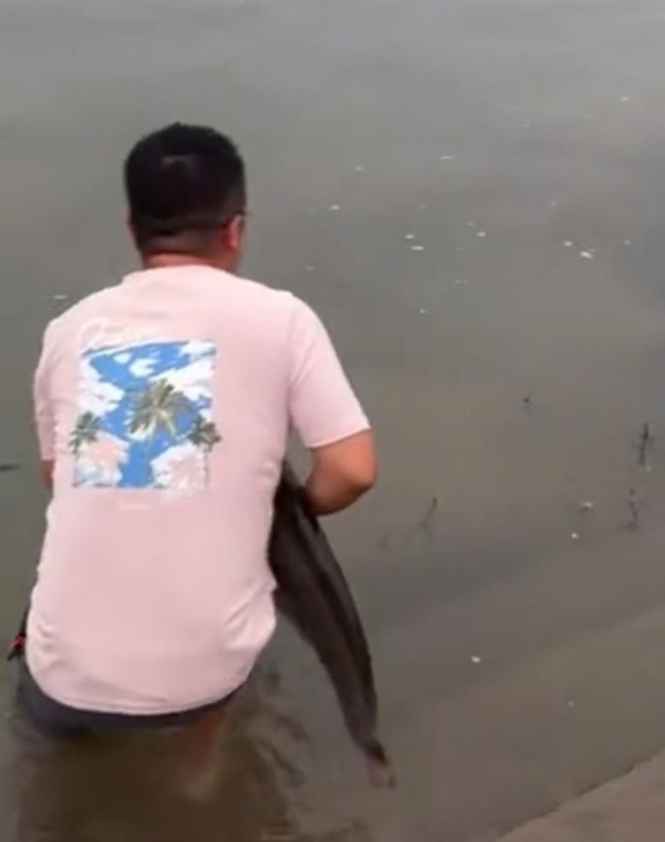 该理念主张, 这次钓起的