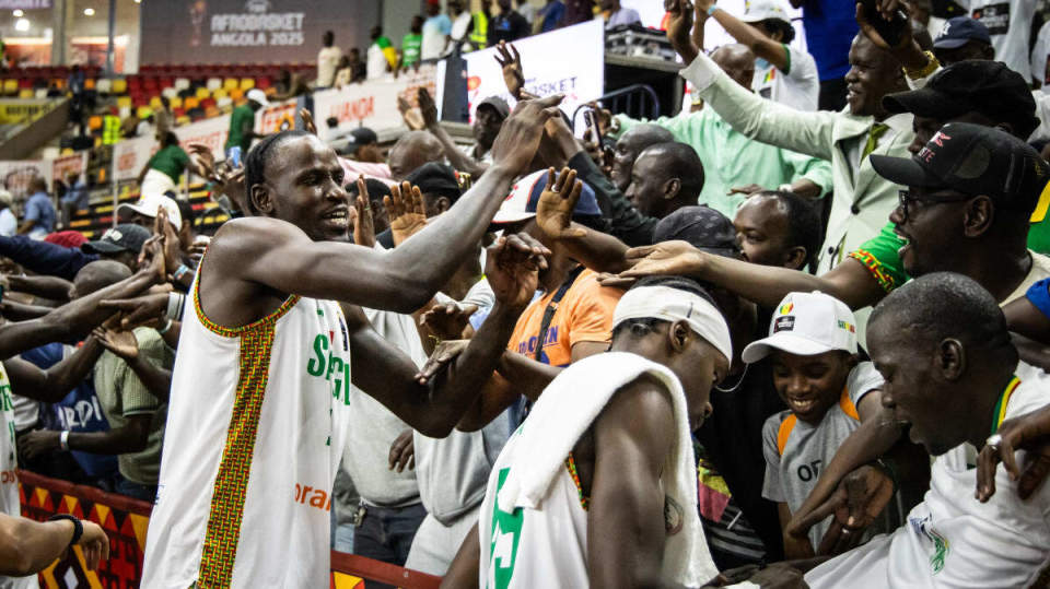 份双向合同, TyXA