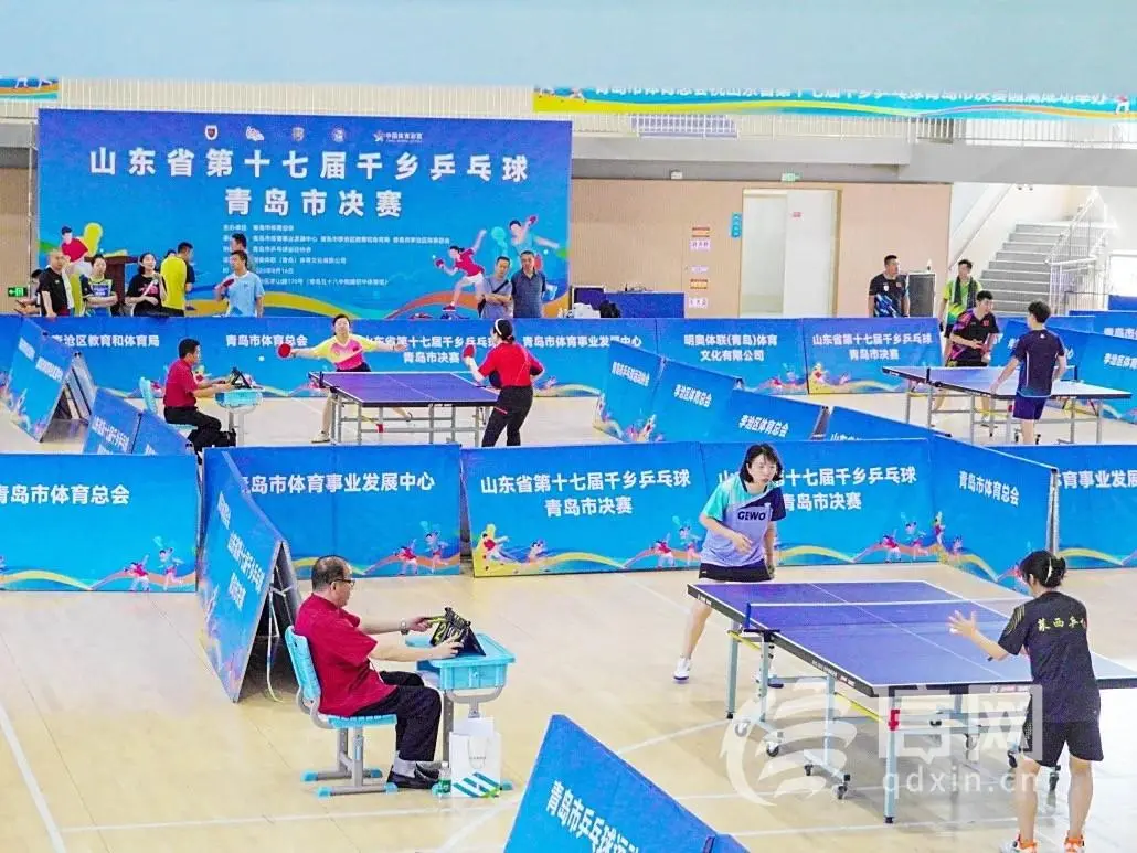 msn, 市级决赛项