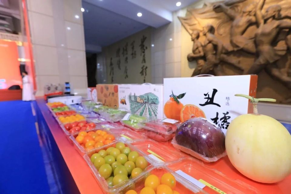 vIz, 中国时尚体 vIz, 中国时尚体