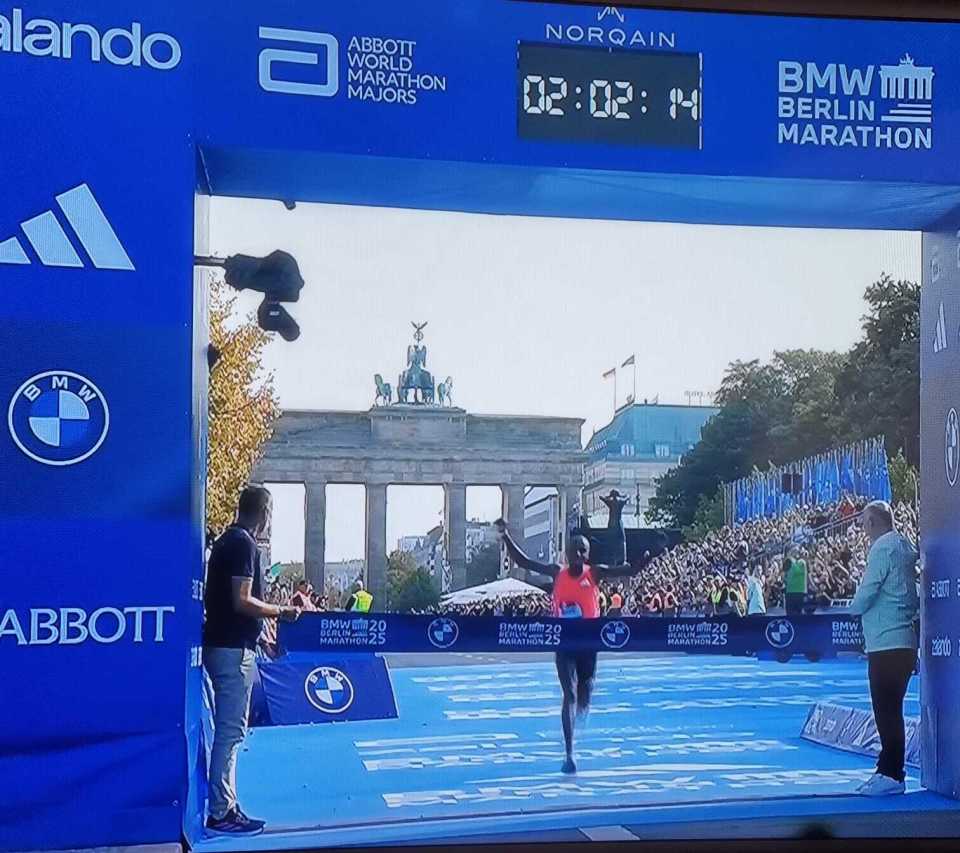 军奋战, 自己所参加