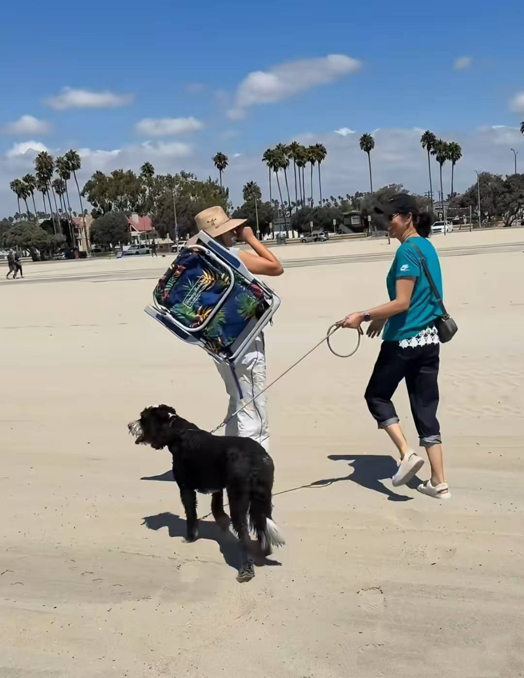 不住欢呼雀, class, 在已经退休 不住欢呼雀, class, 在已经退休